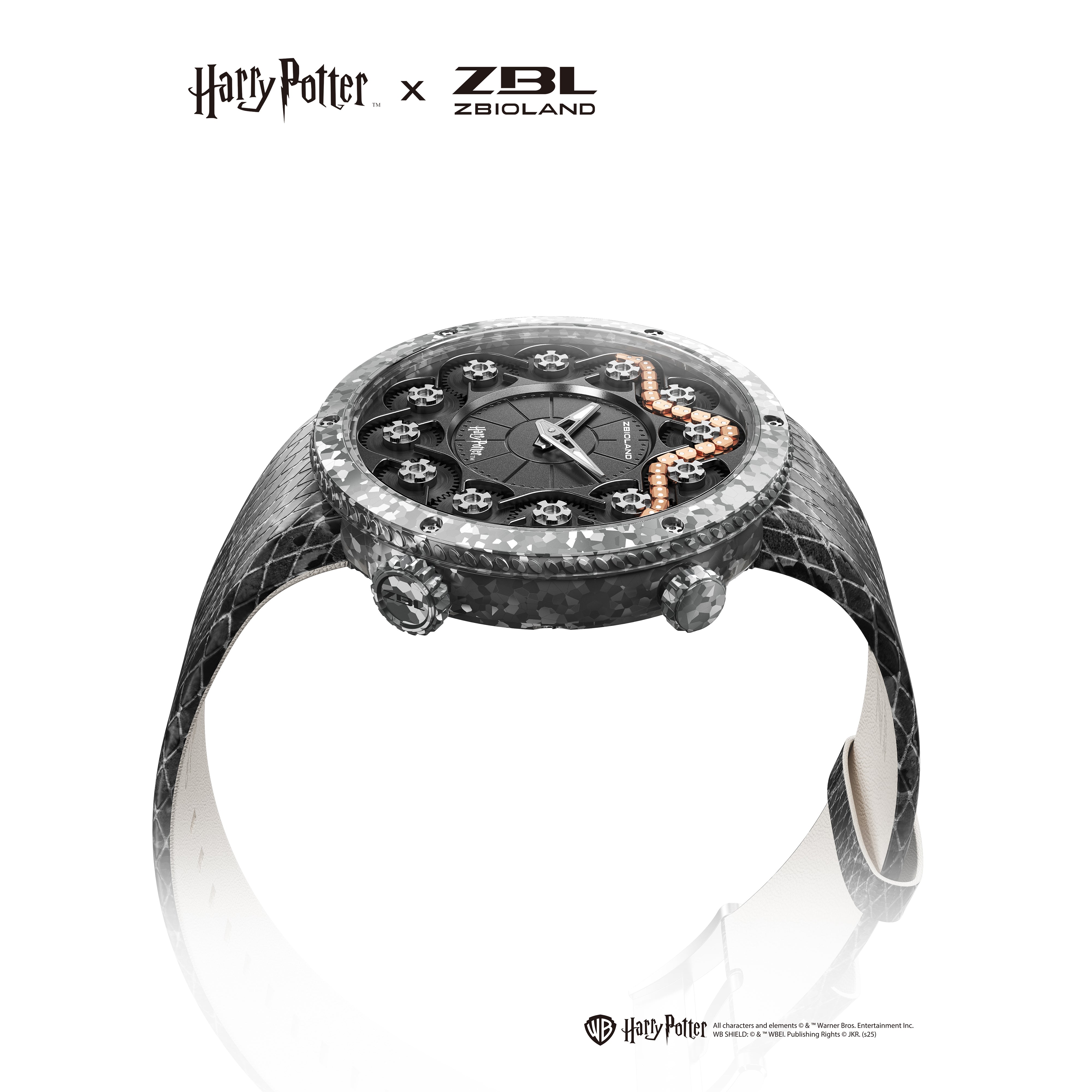 Zbioland x Harry Potter Slytherin : Chamber of Secrets – ZBIOLAND