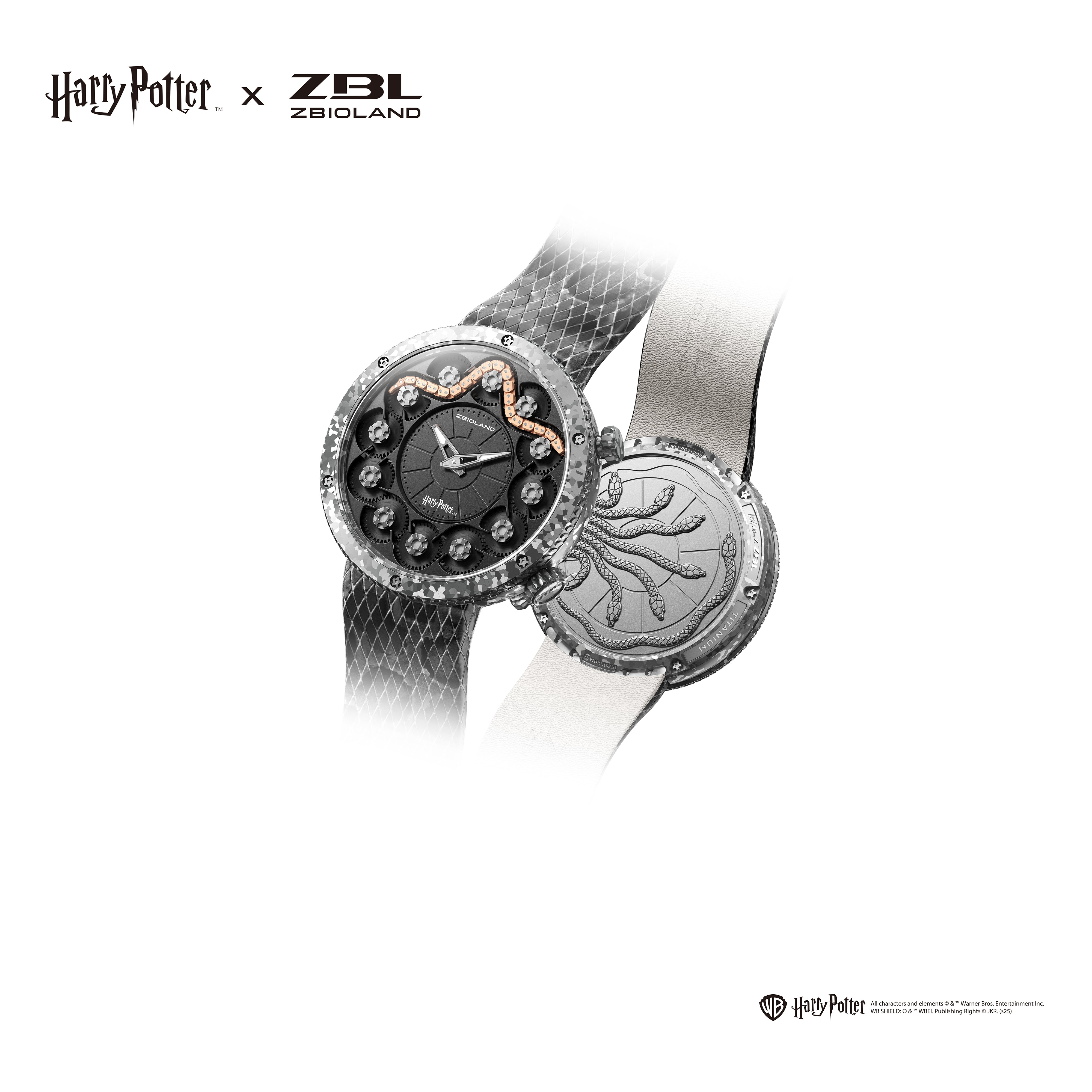 Zbioland x Harry Potter Slytherin : Chamber of Secrets – ZBIOLAND